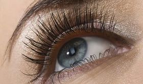 eyelashes