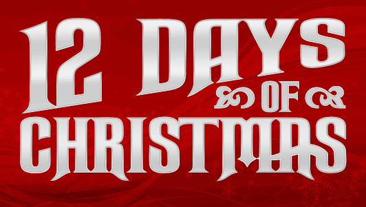 12 days of Christmas!