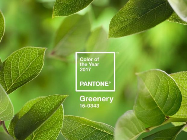 PANTONE-Color-of-the-Year-2017-Greenery