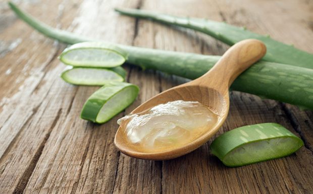 greek-super-foods-aloe